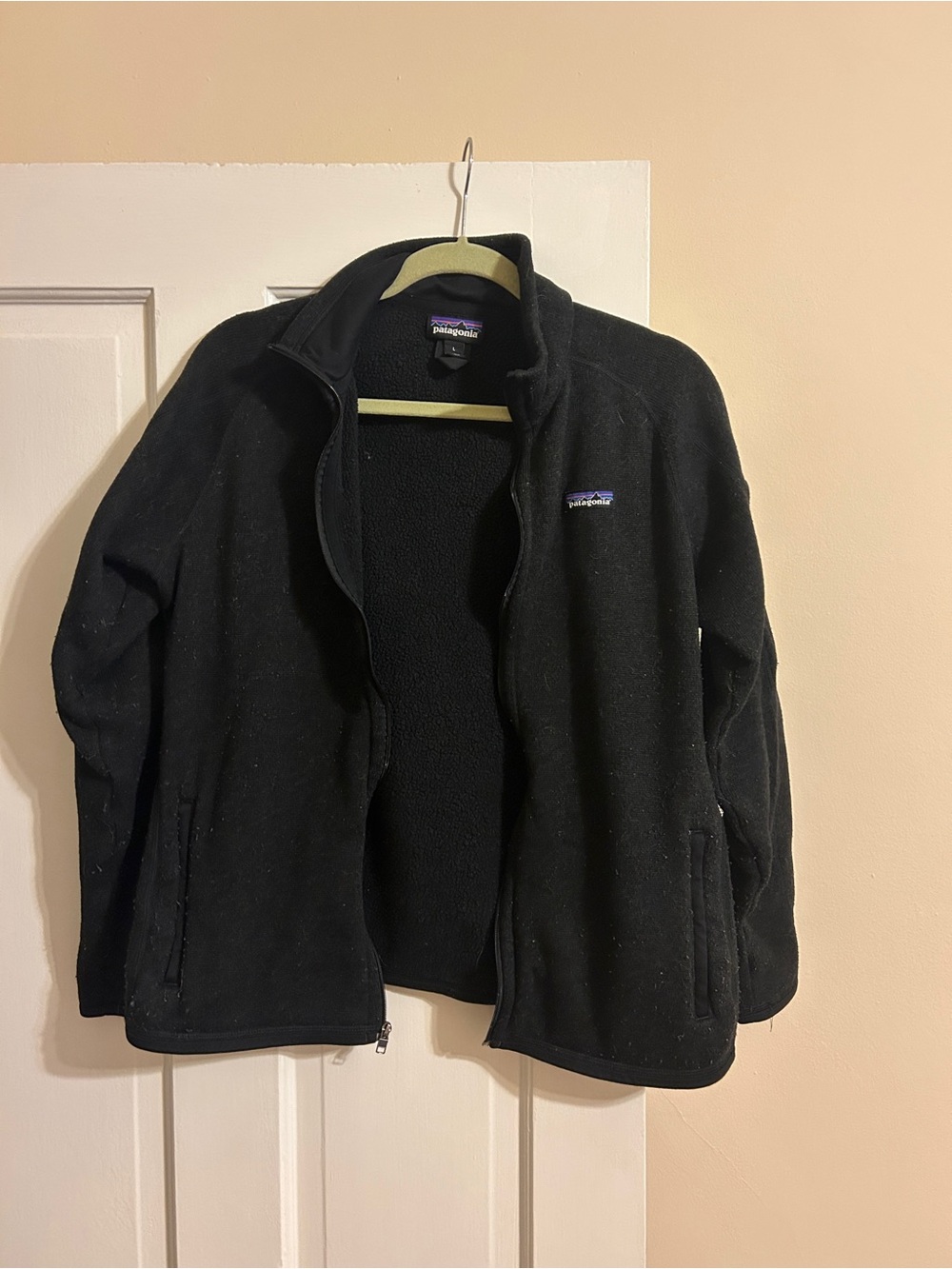 Patagonia Black Full-Zip Fleece Jacket